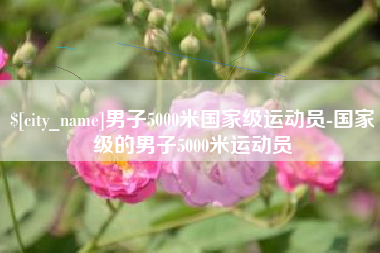 桓台男子5000米国家级运动员-国家级的男子5000米运动员