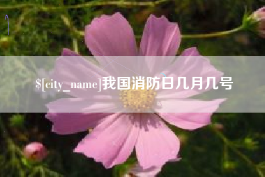 桓台我国消防日几月几号