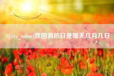 桓台我国消防日是哪天几月几日