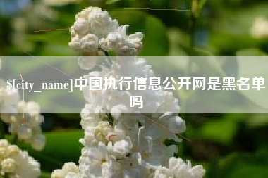 桓台中国执行信息公开网是黑名单吗