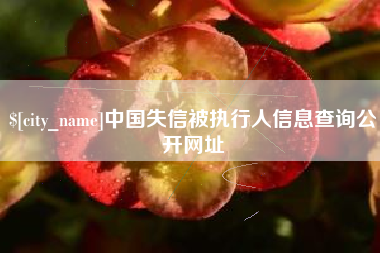 桓台中国失信被执行人信息查询公开网址