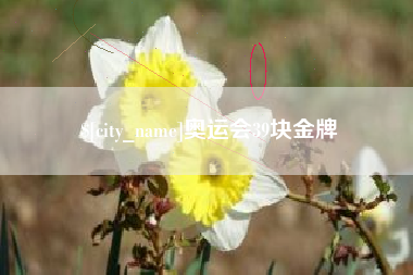 桓台奥运会39块金牌