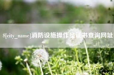 桓台消防设施操作员证书查询网址