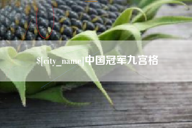 桓台中国冠军九宫格