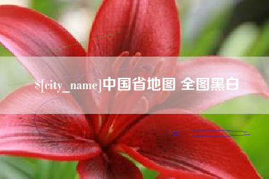 桓台中国省地图 全图黑白