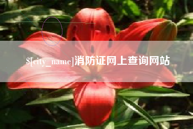 桓台消防证网上查询网站