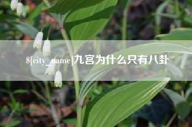 桓台九宫为什么只有八卦