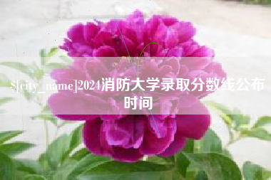 桓台2024消防大学录取分数线公布时间