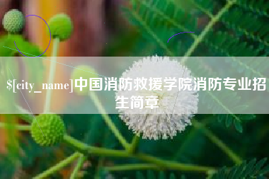 桓台中国消防救援学院消防专业招生简章