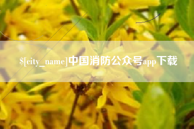 桓台中国消防公众号app下载