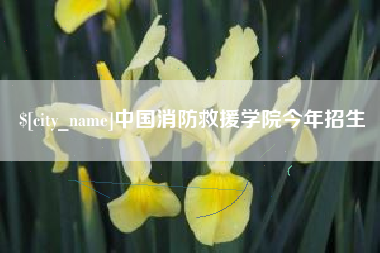桓台中国消防救援学院今年招生