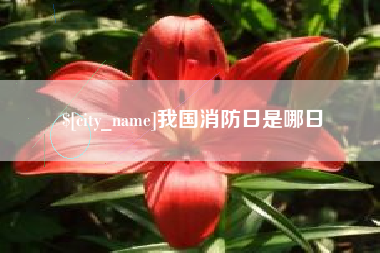 桓台我国消防日是哪日