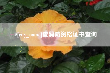 桓台查消防资格证书查询