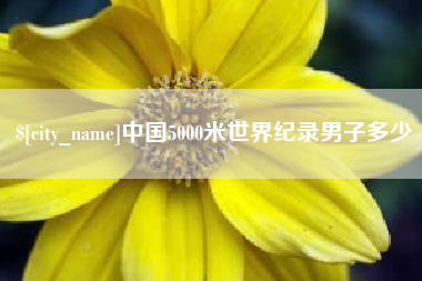 桓台中国5000米世界纪录男子多少
