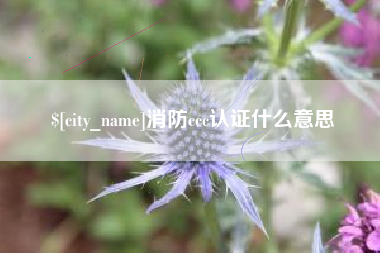 桓台消防ccc认证什么意思