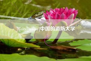 桓台中国的消防大学