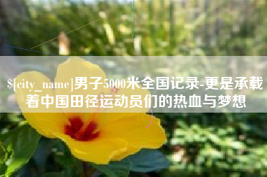 桓台男子5000米全国记录-更是承载着中国田径运动员们的热血与梦想