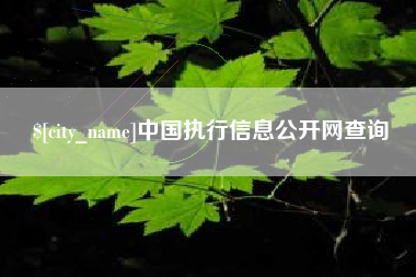 桓台中国执行信息公开网查询