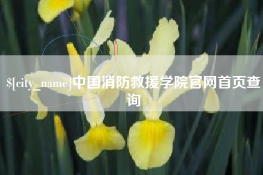 桓台中国消防救援学院官网首页查询