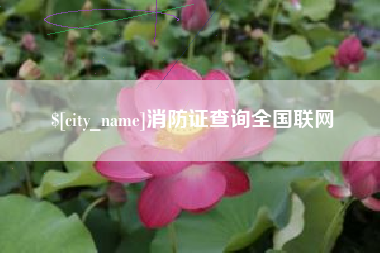 桓台消防证查询全国联网