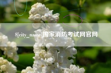 桓台国家消防考试网官网