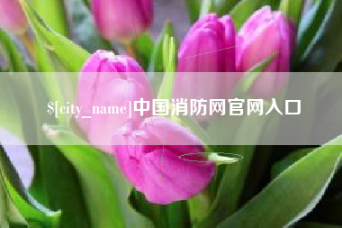 桓台中国消防网官网入口