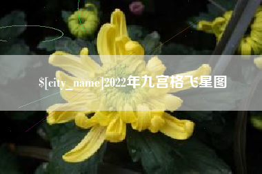 桓台2022年九宫格飞星图