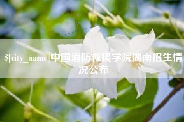 桓台中国消防救援学院湖南招生情况公布