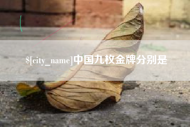 桓台中国九枚金牌分别是