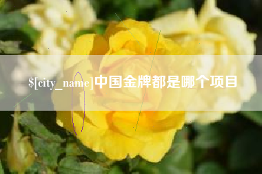 桓台中国金牌都是哪个项目