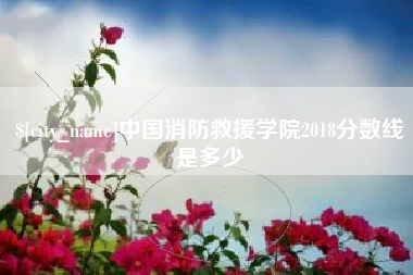 桓台中国消防救援学院2018分数线是多少
