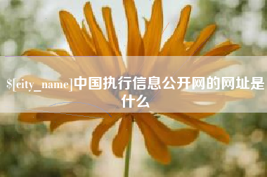 桓台中国执行信息公开网的网址是什么