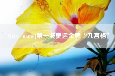 桓台第一波奥运金牌“九宫格”
