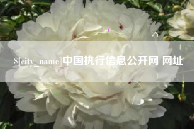 桓台中国执行信息公开网 网址