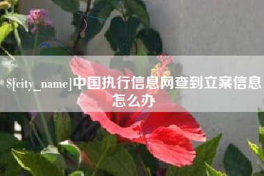 桓台中国执行信息网查到立案信息怎么办