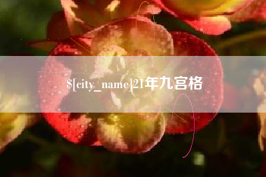 桓台21年九宫格