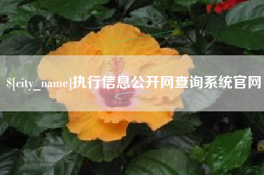 桓台执行信息公开网查询系统官网