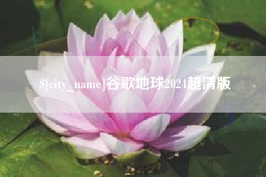 桓台谷歌地球2024超清版