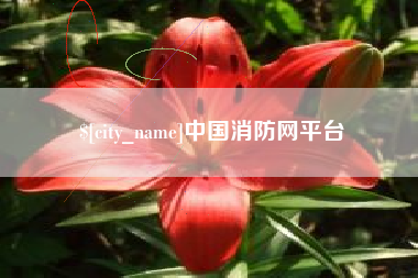 桓台中国消防网平台