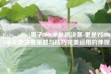 桓台男子5000米长跑决赛-更是对5000米长跑决赛策略与技巧完美运用的体现
