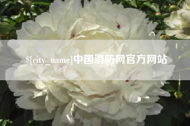 桓台中国消防网官方网站