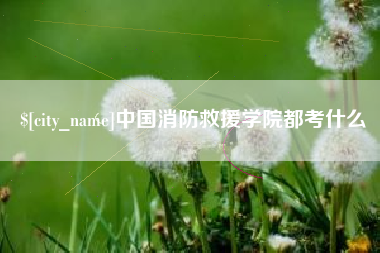 桓台中国消防救援学院都考什么