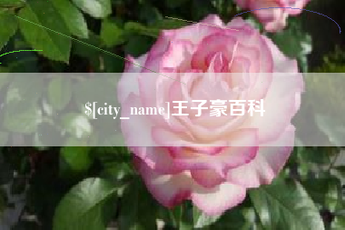 桓台王子豪百科
