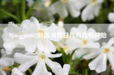 桓台我国消防日几月几号开始