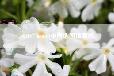 桓台中国地图像素版