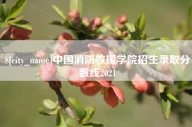 桓台中国消防救援学院招生录取分数线2021