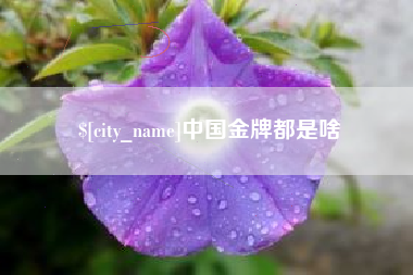 桓台中国金牌都是啥
