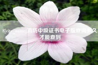 桓台消防中级证书电子版查询多久才能查到