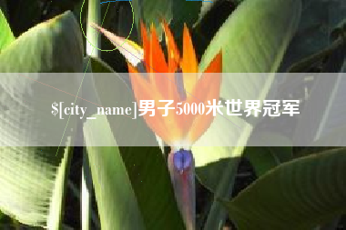 桓台男子5000米世界冠军