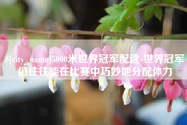 桓台5000米世界冠军配速-世界冠军们往往能在比赛中巧妙地分配体力